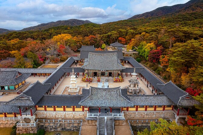 Gyeongju UNESCO World Heritage Guided Day Tour from Busan - Daereungwon Tomb Complex: royal scale and a short, intense visit