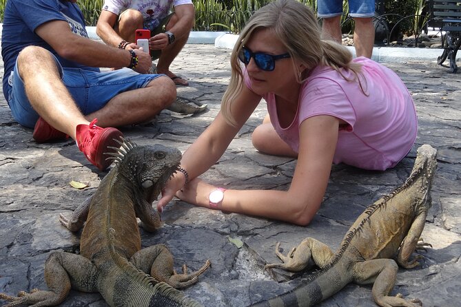 Half Day Guayaquil Historical Tour and Cocoa Culinary Experience - Cocoa tour highlights you can plan around
