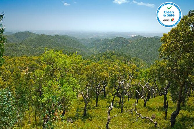 Half Day Historical Tour to Silves and Monchique - Up to Monte Foia: the Algarve’s highest viewpoint