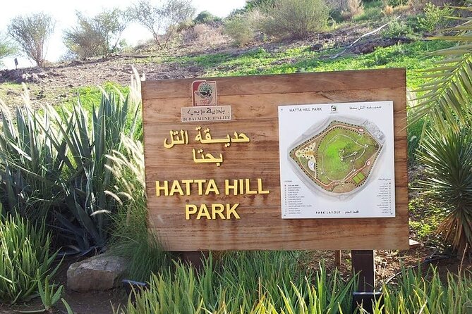 Hatta Heritage Village Tour from Dubai With Kayaking - The Real Star: 1-Hour Kayaking at Hatta Dam