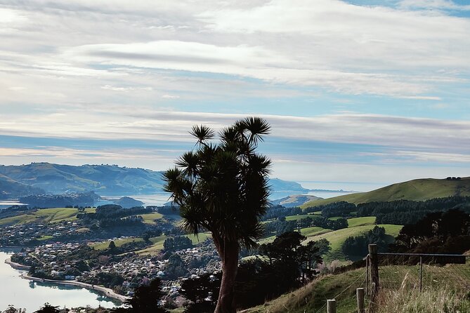 Heritage City and Larnach Castle Van tour with Historian Guide - Northern Cemetery: William Larnach’s Tomb and the People Who Lived Here