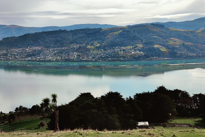 Heritage City and Larnach Castle Van tour with Historian Guide - Baldwin Street: The World’s Steepest Street, Plus Real-Time Stories