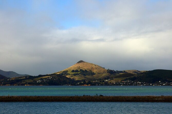 Heritage City and Larnach Castle Van tour with Historian Guide - Highgate Lunch at Luna: Off-the-Map Views and Local Food Timing