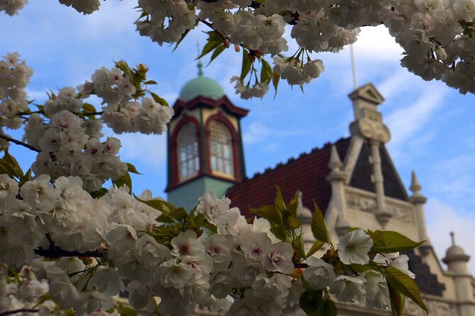 Heritage Dunedin City Walking Guided Tour - Queens Gardens: Scottish settlers, Kai Tahu welcome, and the mud reality