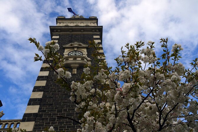 Heritage Dunedin City Walking Guided Tour - Broadway Medical Centre area: shoe shops, scandal, and the darker thread