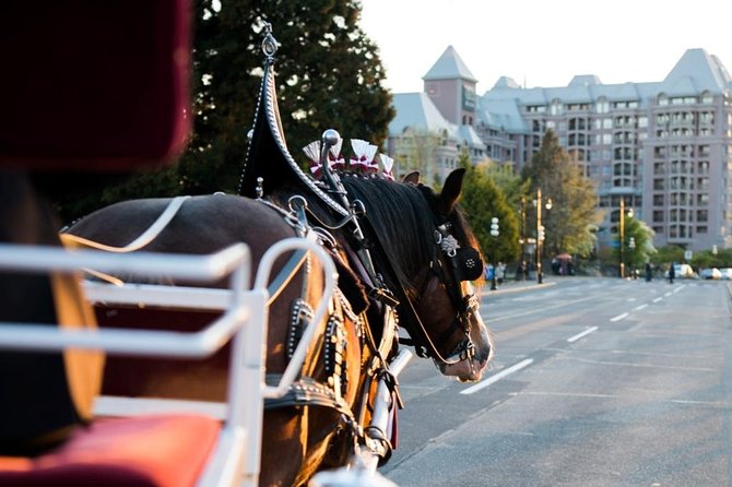 Heritage Horse-Drawn Carriage Experience in Victoria - Quick take: what makes this carriage ride work
