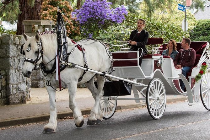Heritage Horse-Drawn Carriage Experience in Victoria - Where you start matters: Belleville Street and a true city-walk alternative