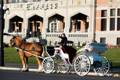 Heritage Horse-Drawn Carriage Experience in Victoria - The 30-minute plan: what happens between Legislative Hall and the Carr House