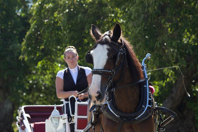 Heritage Horse-Drawn Carriage Experience in Victoria - Is it worth $123.92 per group? A value check that’s actually useful