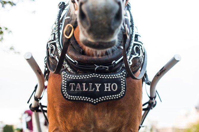 Heritage Horse-Drawn Carriage Experience in Victoria - A few smart tips before you go