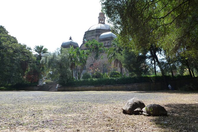 Hidden Treasures of Addis Ababa - Food, Culture and History Tour - Key highlights you’ll care about