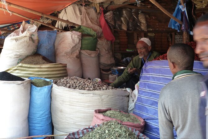Hidden Treasures of Addis Ababa - Food, Culture and History Tour - Mercato Market: shopping crowds and the recycling economy