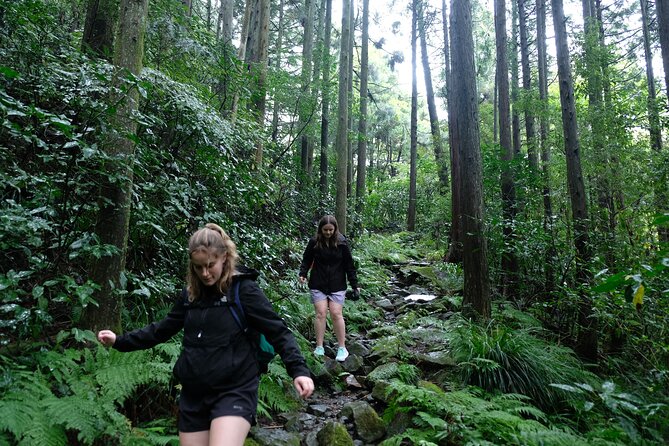 Hike Japan Heritage Hakone Hachiri (Half Day) - Key highlights that make this hike worth it