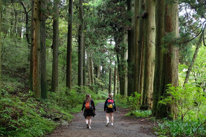 Hike Japan Heritage Hakone Hachiri (Half Day) - Walking the old Tokaido, the practical way