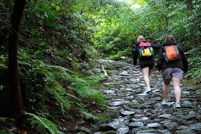 Hike Japan Heritage Hakone Hachiri (Half Day) - Checkpoint to closure: understanding Hakone’s role