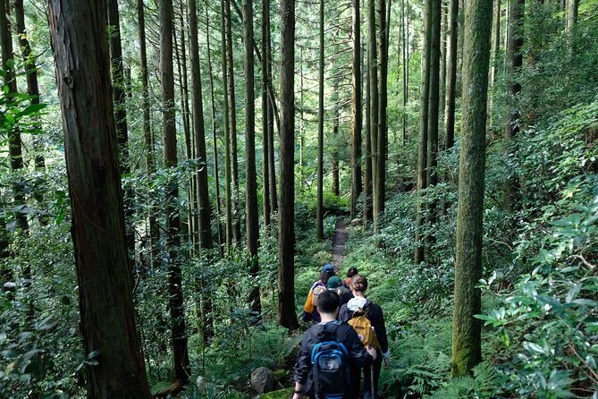 Hike Japan Heritage Hakone Hachiri (Half Day) - Guide quality and group size: what you can expect