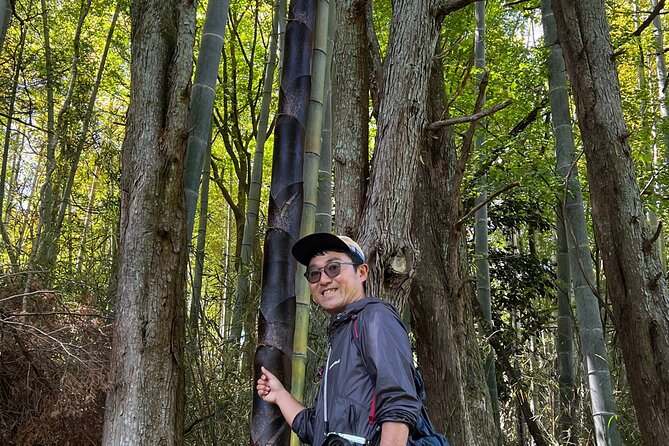 Hike Japan Heritage Hakone Hachiri with certified mountain guide - The Hakone checkpoint moment: understanding travel control in Edo Japan