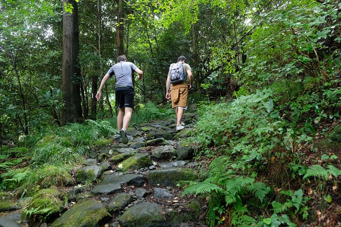 Hike Japan Heritage Hakone Hachiri with certified mountain guide - Yamanaka Castle Ruins: walking the old route with Fuji chances