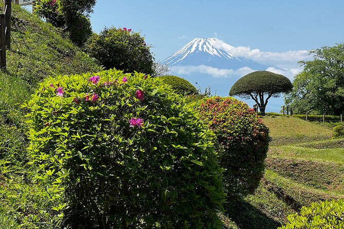 Hike Japan Heritage Hakone Hachiri with certified mountain guide - Ending in Mishima: shrine visit, river walk, and train options