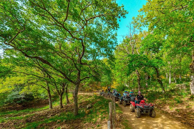 Hike on the trails of the ancient shepherds - 4h - Quad/ATV - Castelbuono on foot, then a panettone tasting at Bar Fiasconaro