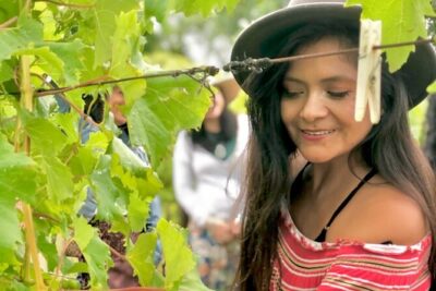 Hinterland Heritage Wine Tour - Price and What You’re Really Paying For (A $143.45 Reality Check)