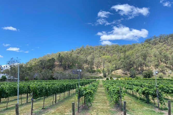 Hinterland Heritage Wine Tour - Stop 2: O’Reilly’s Canungra Valley Vineyards and Killowen’s Historic Grounds