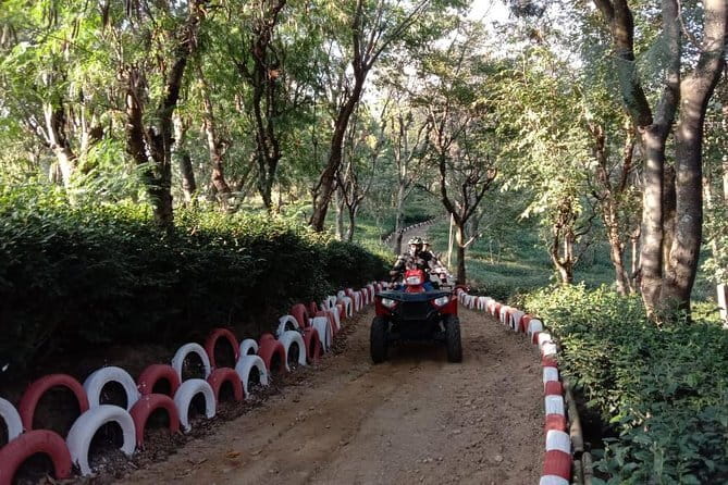 Historical Tour including Unesco Kangra fort & Rock cut temple from Dharamshala - Masroor Rock Cut Temple: myth, stone carvings, and what to look for