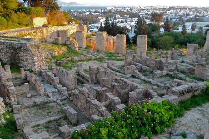 Historical Tour of Ancient Carthage - Key things you should know before you go