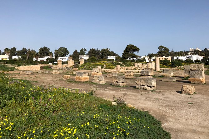 Historical Tour of Ancient Carthage - Carthage in 3.5 hours: what you’ll really see from Tunis