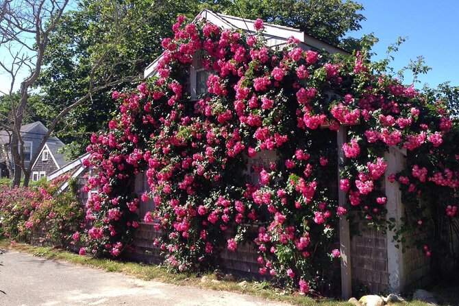 Historical Tour of Nantucket - Price and Value: Is $57 Worth 1.5 Hours?