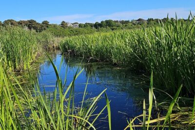 Historical Tour of Nantucket - What’s Included—and What You Need to Bring Yourself