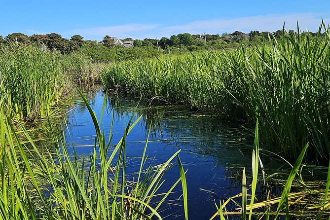 Historical Tour of Nantucket - What’s Included—and What You Need to Bring Yourself