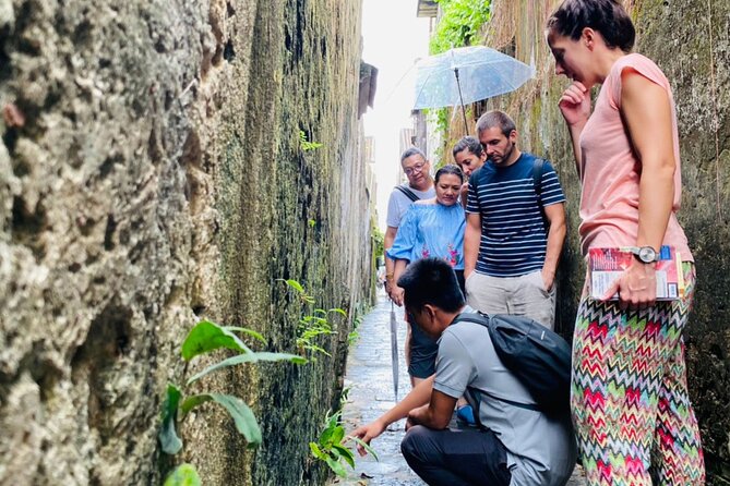 Hoi An Ancient Town Walking Tour with a Local - Hoi An Traditional Art Performance Theatre: culture you can hear, not just read