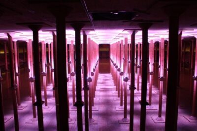 Houston: Buffalo Bayou Park Cistern History Tour - From the Visitor Center to the Cistern Door: What the 30 Minutes Feels Like