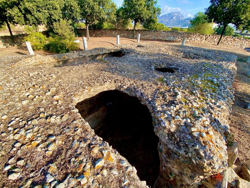 Journey Through Time - Discover Sardinia's Ancient Treasures - Parco Fausto Noce and scenic drives: the gentle between-points pacing
