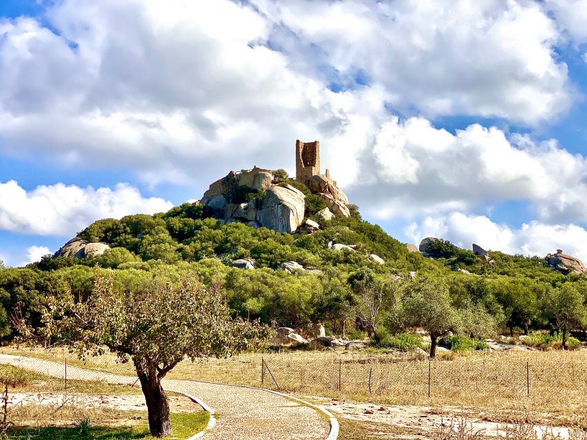 Journey Through Time - Discover Sardinia's Ancient Treasures - Su Mont’e e S’Abe tombs: Nuragic burial architecture at giant scale
