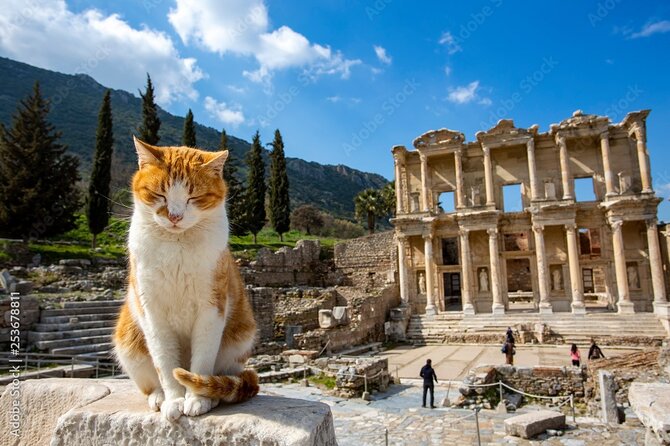 Journey to Ancient Wonders: Explore Ephesus with a Private Tour - Optional Meryemana (Virgin Mary’s House): for the people who want the quiet stop