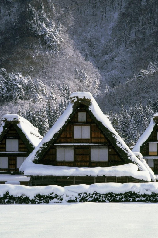 Kanazawa: World Heritage Shirakawa-go & Two Local Experience - Price and value: why $116 can feel fair on this specific route
