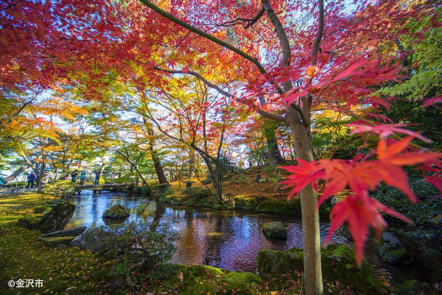 Kanazawa: World Heritage Shirakawa-go & Two Local Experience - A short Kanazawa Castle-area walk: enough to ground the city