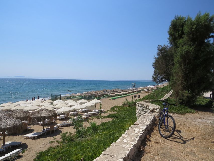 Katakolo: Ancient Olympia and Kourouta Beach Guided Tour - Who this tour suits best (and who should look elsewhere)