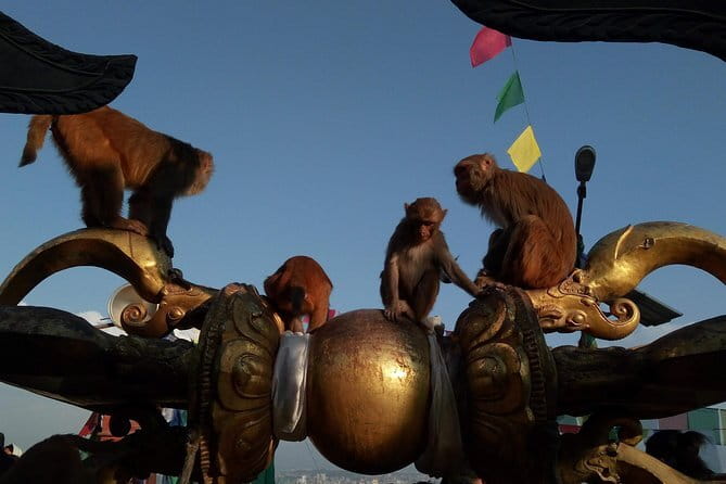Kathmandu Heritage Tour (Full Day) - Kathmandu Durbar Square and Swayambhunath: the morning power combo