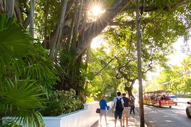Key West Historic Bahama Village & Hemingway Heritage - Meeting at 716 Duval: Timing, Group Size, and the Walk Pace
