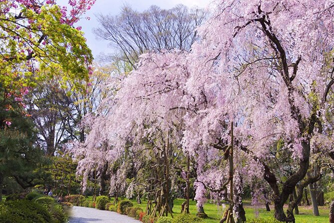 Kyoto: Nijo Castle World Heritage Guided Tour with Admission - Small-group guide style: questions, humor, and personalization