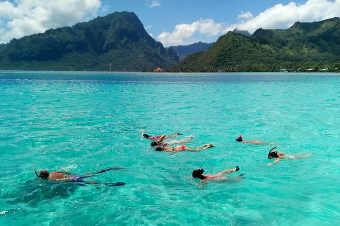 Land and Sea cultural tour to discover traditions, heritage and the lagoon - Lunch with your feet in the water: the break you’ll remember