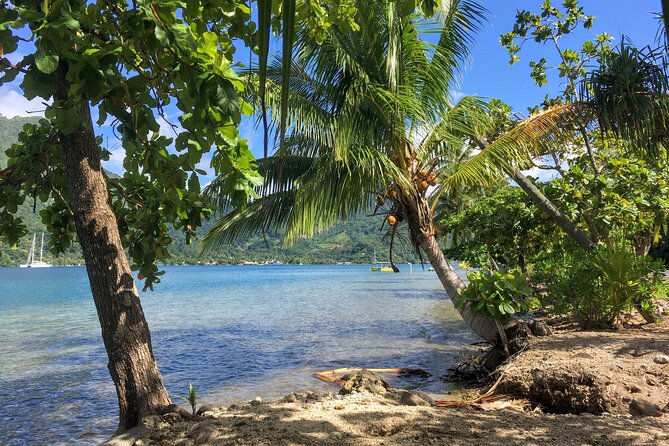 Land and Sea cultural tour to discover traditions, heritage and the lagoon - Price and value: is $173.69 worth it?