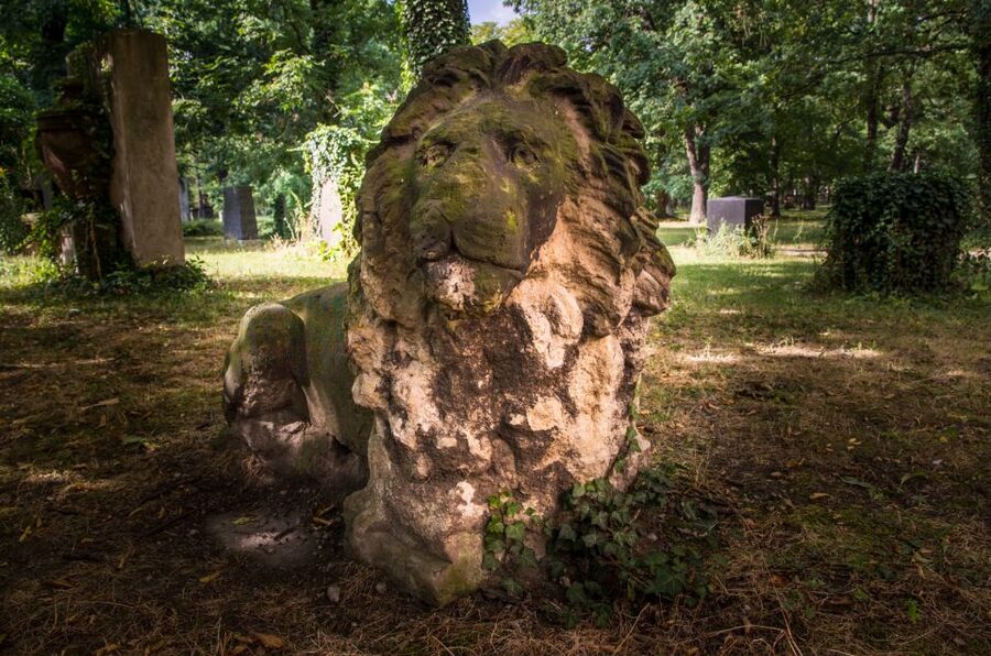 Leipzig Old Cemetery: 75-Minute Dark History Tour - Key highlights worth planning for