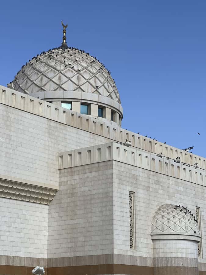 Madinah Culture & History Tour – Led by Local Guide - Ending at the Historic Well: Ghars Well or Bir Al-Faqeer