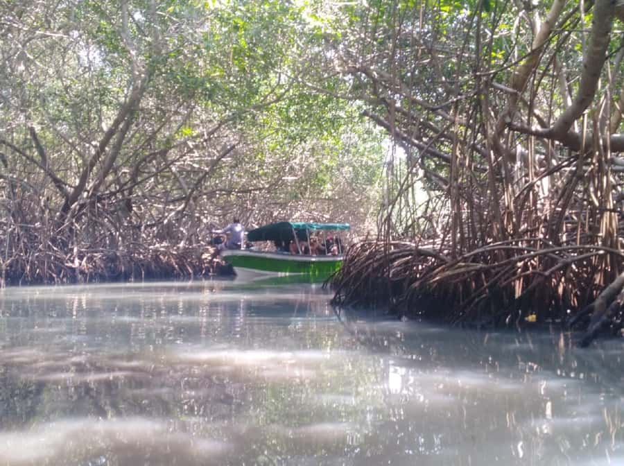Mangroves, cultural fishing, black heritage town and lunch - La Boquilla’s Afro-Caribbean heritage: more than a stop on the way