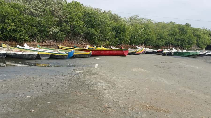 Mangroves, cultural fishing, black heritage town and lunch - Lunch on the beach: coconut flavors and fresh seafood