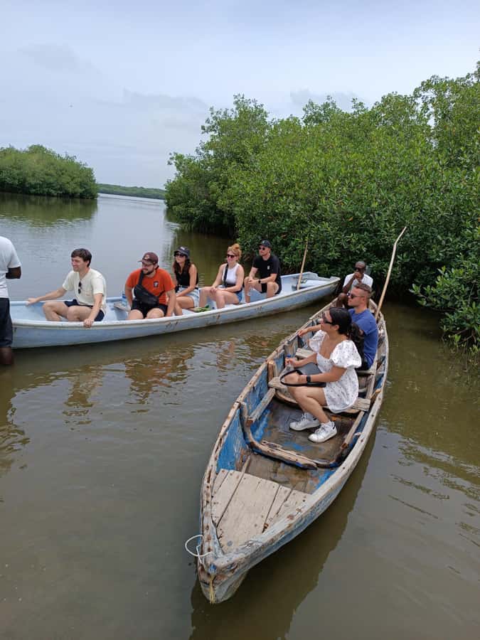 Mangroves, cultural fishing, black heritage town and lunch - Timing and pace: how 3 hours really feels